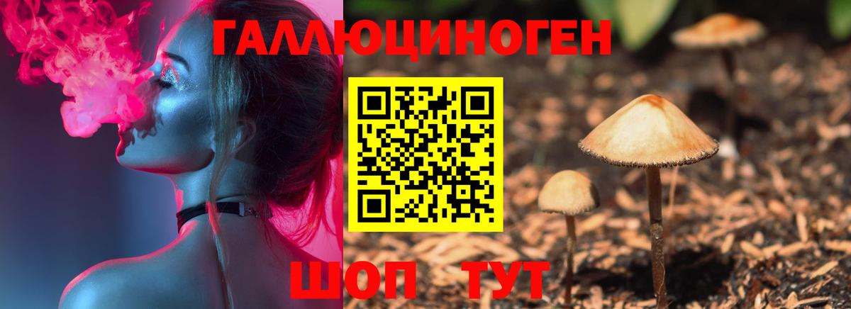 Псилоцибиновые грибы прущие грибы Новотроицк